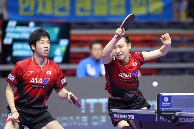 法国队横扫波兰队，许昕扛起全队