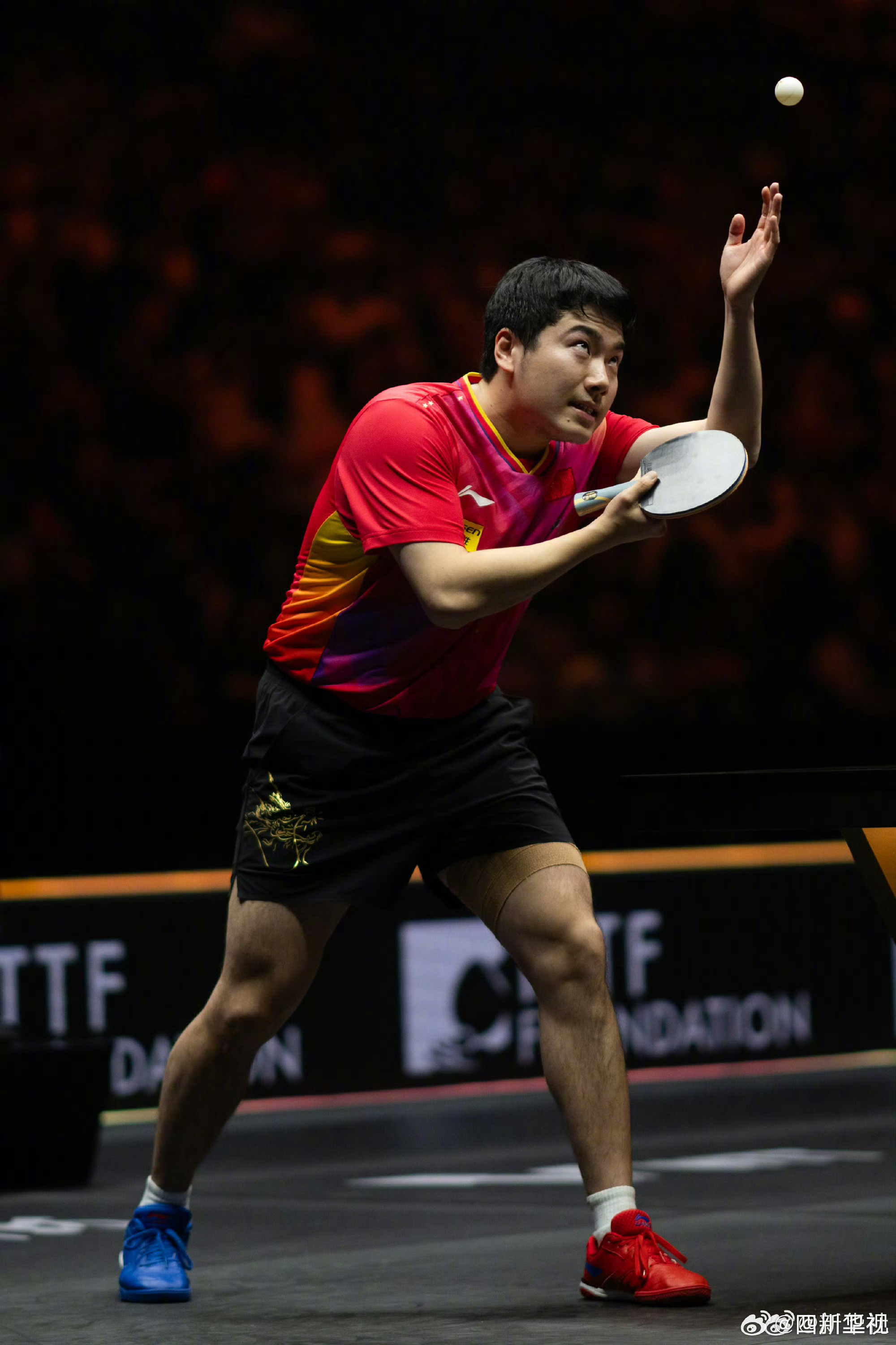 奥地利队力克波兰队，梁靖崑状态火热