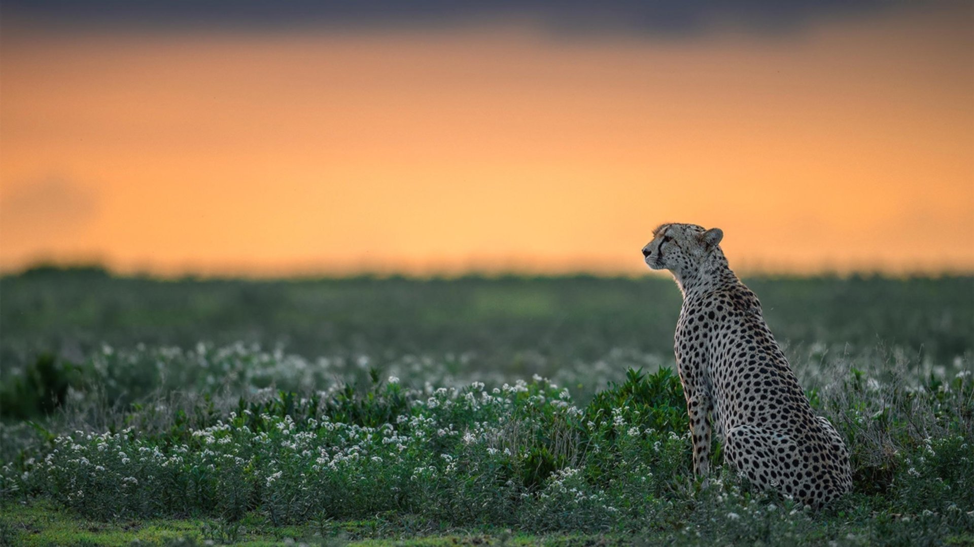 拉什福德爆发，法国强行终结克罗地亚，一场新旧势力的激烈碰撞
